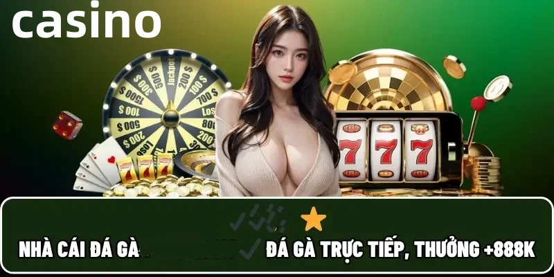 xo368