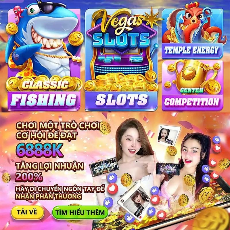 xo368